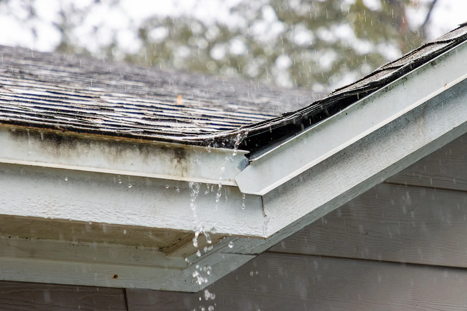 Roof Leak Repair