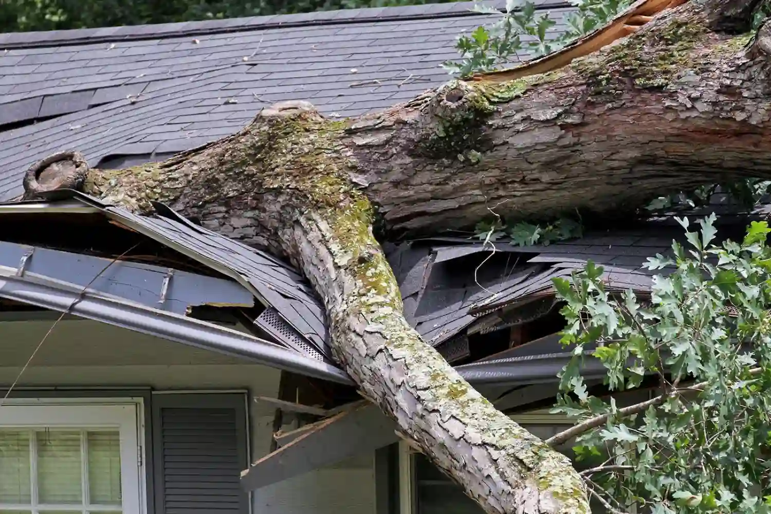Storm Damage Repair Comp